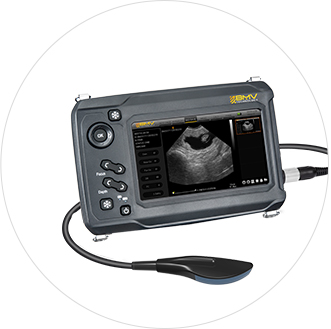 BestScan® S6 bovine equine ultrasound machine