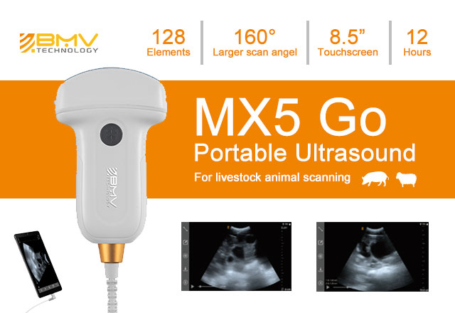 mx5 ultrasound for livestock