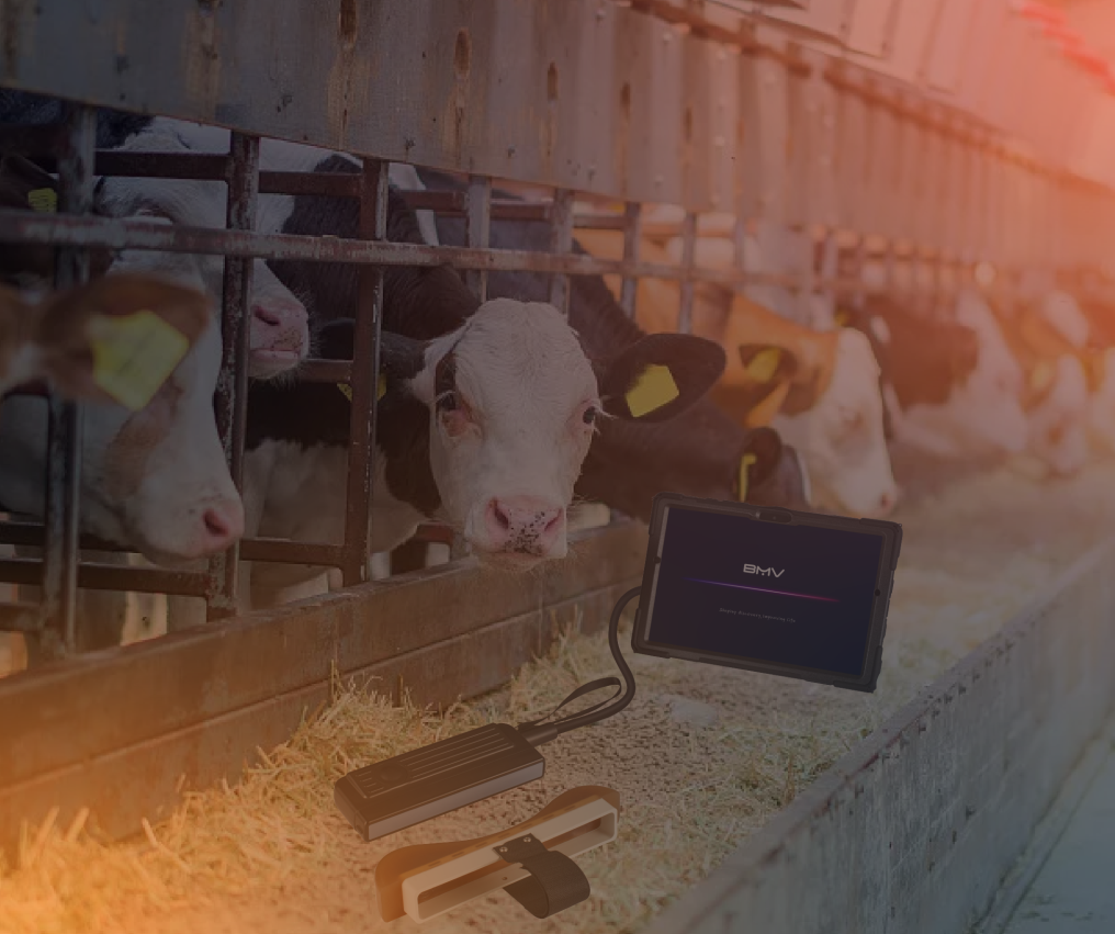Livestock & Production 06